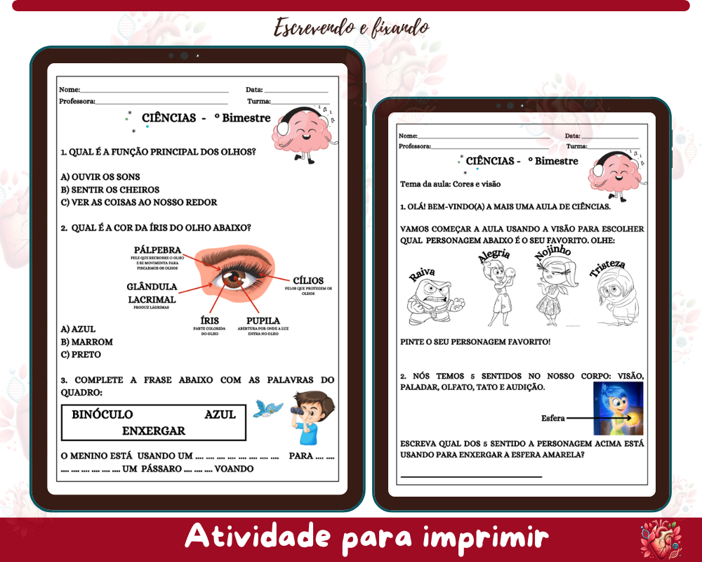Atividades Adaptadas de Ciências - Sentidos