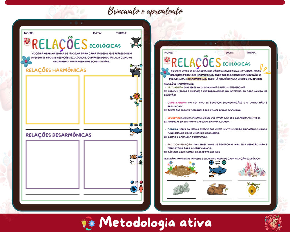 Atividades - Relações Ecológicas 