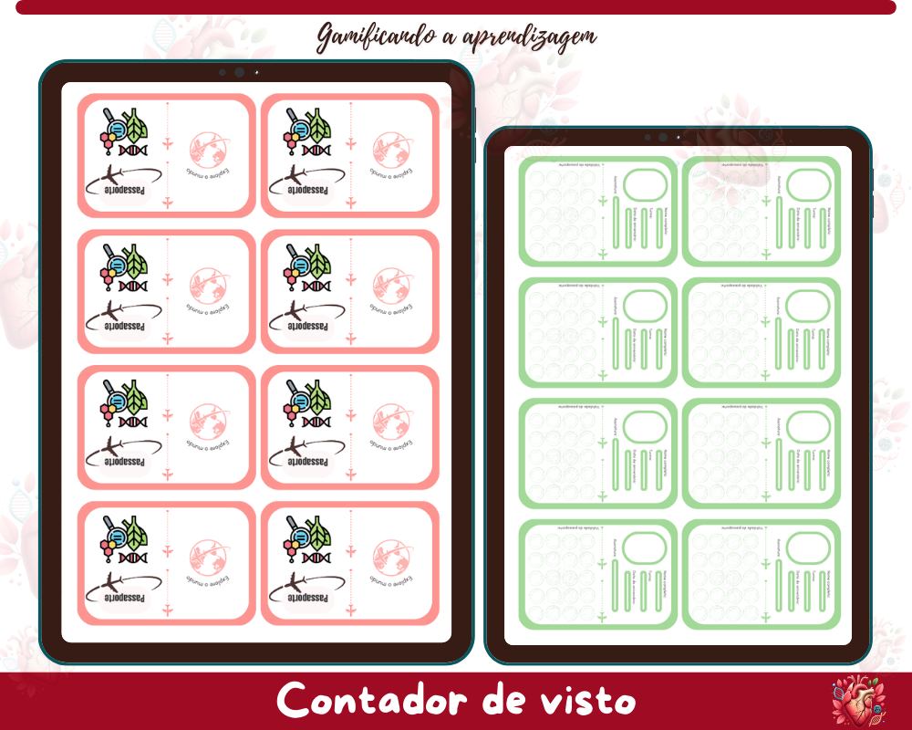 Contador de Vistos - Passaporte