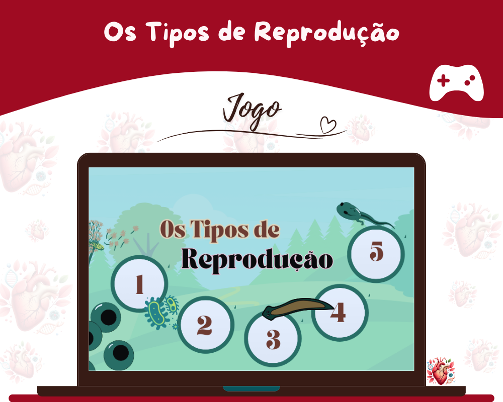 Jogo - Os Tipos de Reprodução