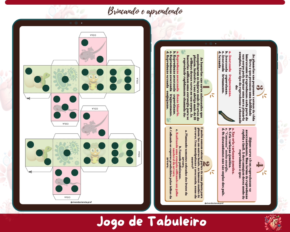 Jogo - Os Tipos de Reprodução