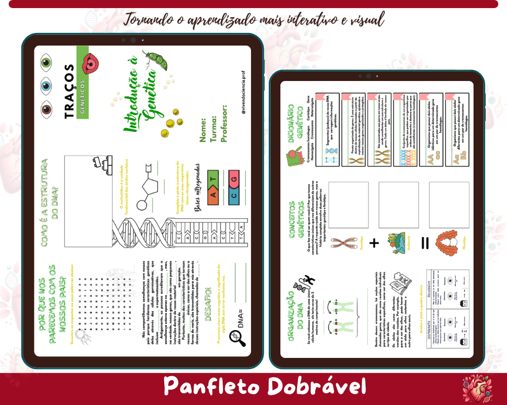 Folder - Introdução à Genética