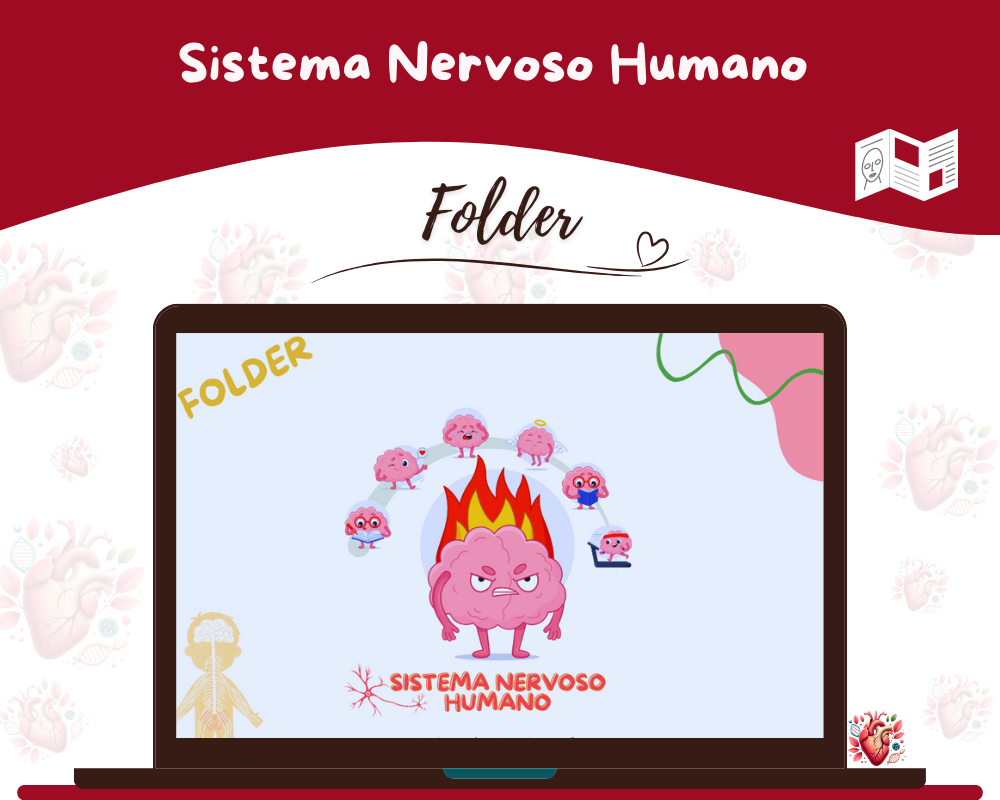 Folder - Sistema Nervoso Humano