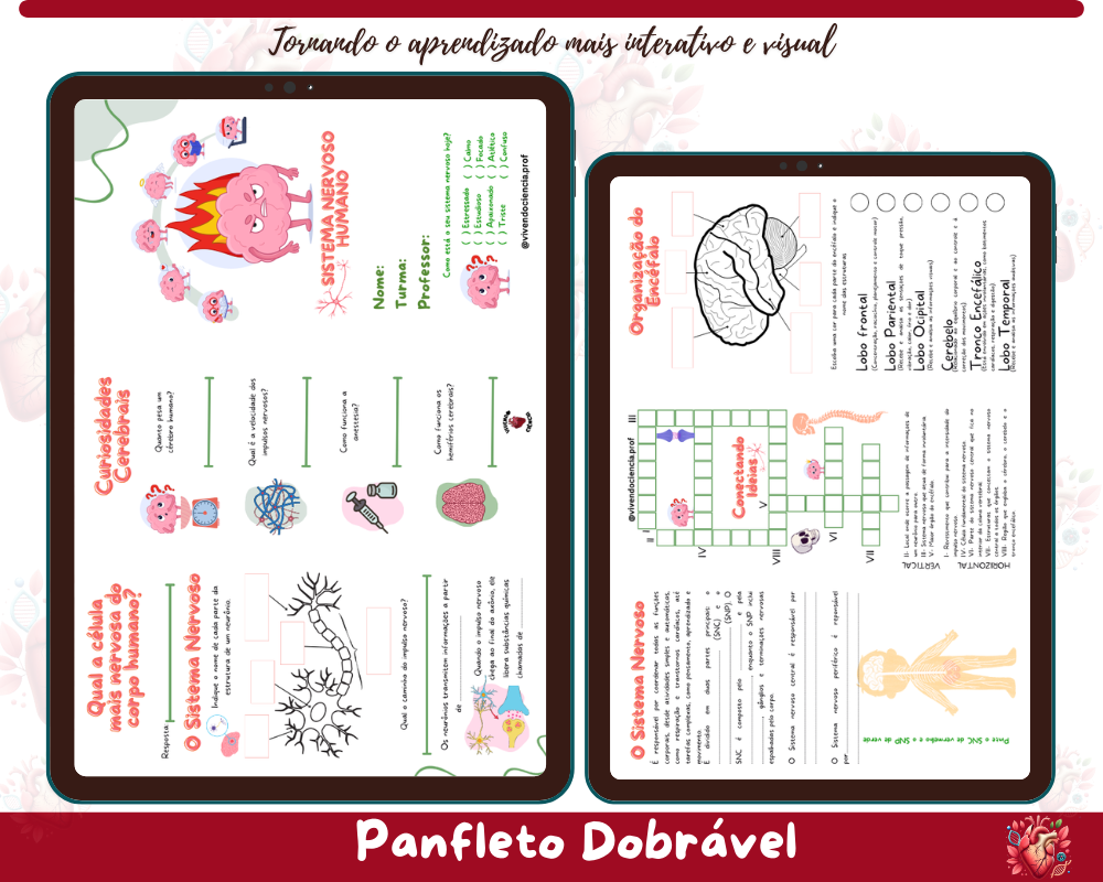 Folder - Sistema Nervoso Humano
