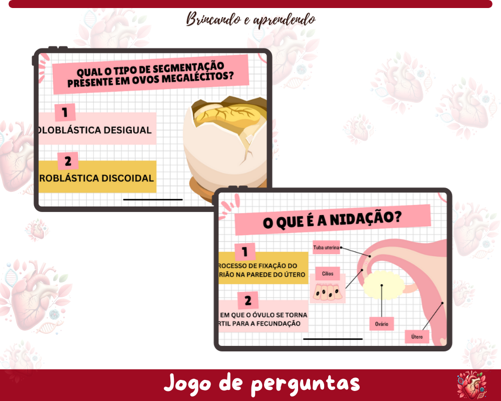 Quiz - Embriologia Quiz - Embriologia