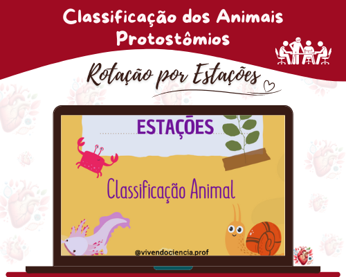 Rotação por Estações - Classificação Animal (Protostômios) Rotação por Estações - Classificação Animal (Protostômios)