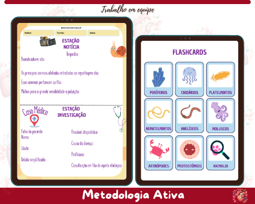 Rotação por Estações - Classificação Animal (Protostômios)