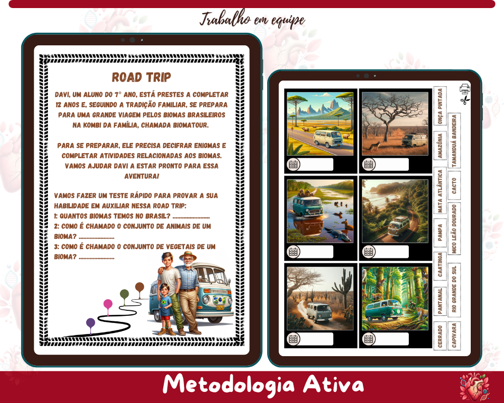 Rotação por Estações - Biomas Brasileiros Rotação por Estações - Biomas Brasileiros