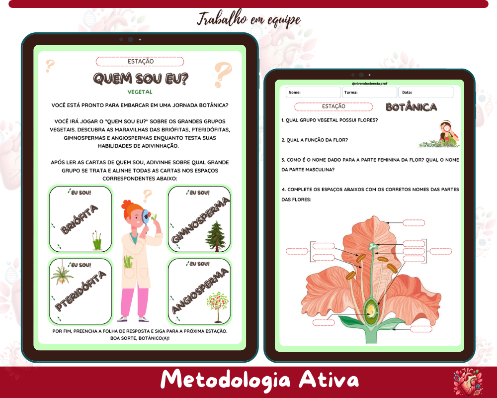 Rotação por Estações - Grupos Vegetais
