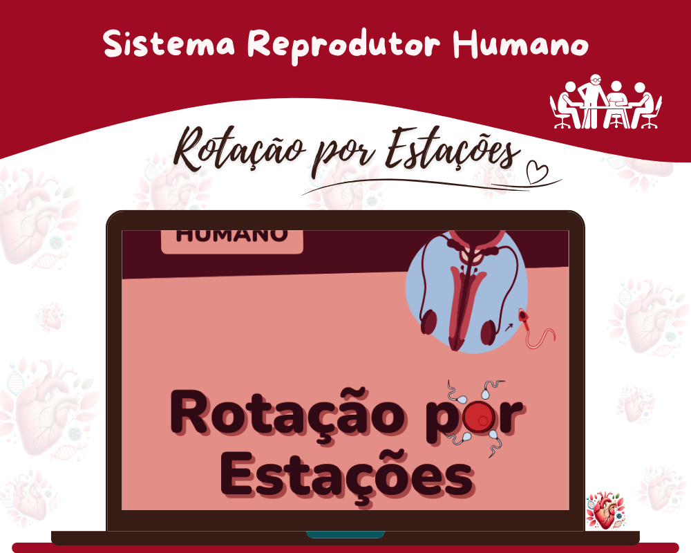 Rotação por Estações - Sistema Reprodutor Humano Rotação por Estações - Sistema Reprodutor Humano