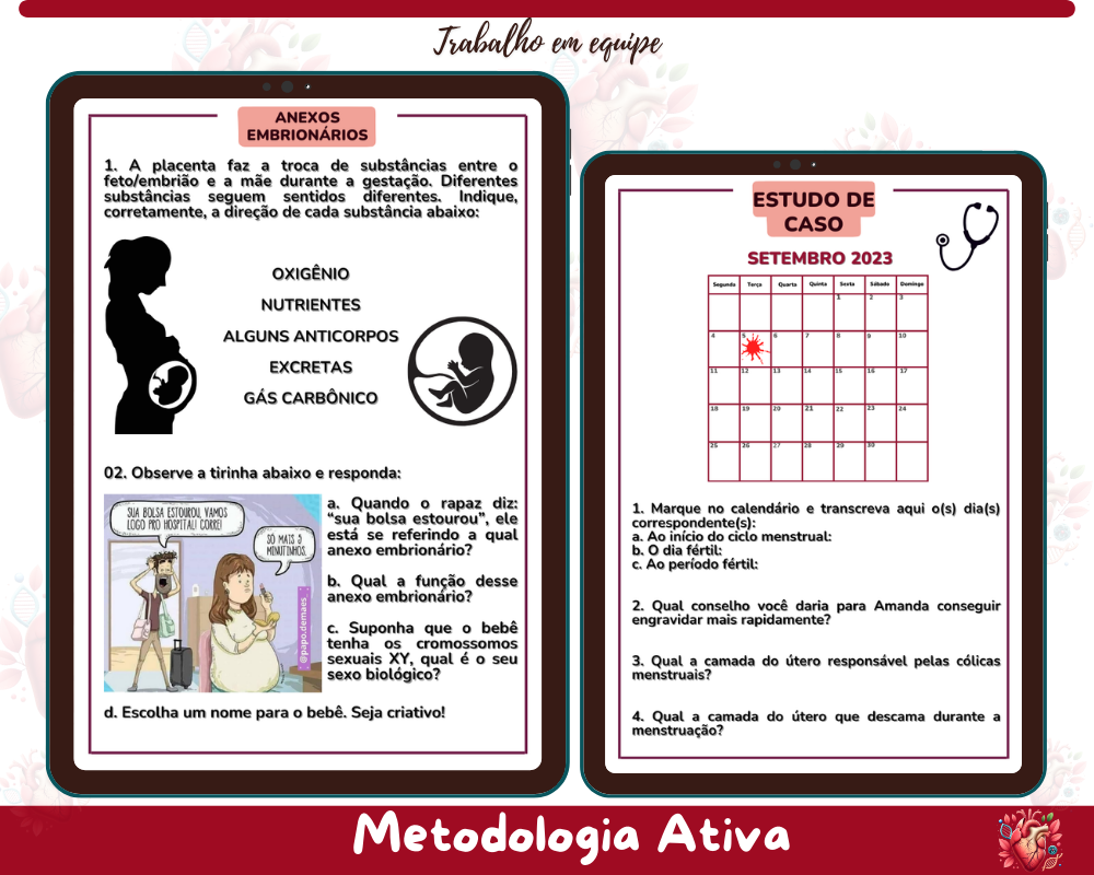 Rotação por Estações - Sistema Reprodutor Humano