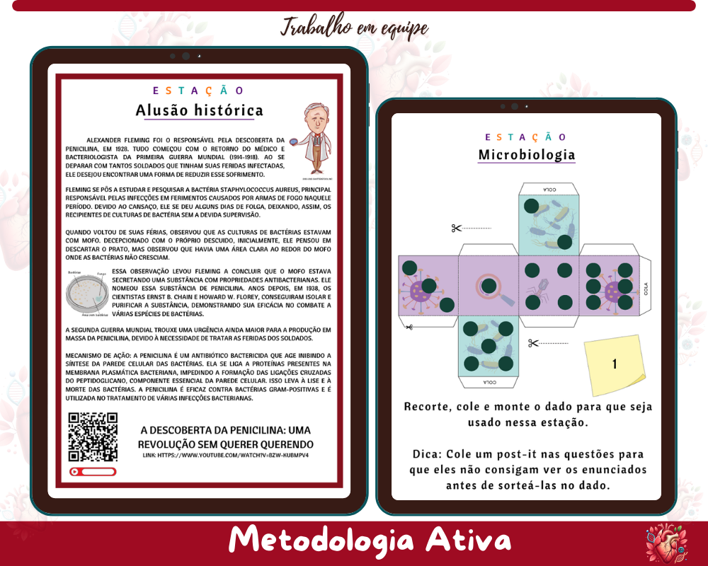 Rotação por Estações - Vírus e Bactérias Rotação por Estações - Vírus e Bactérias