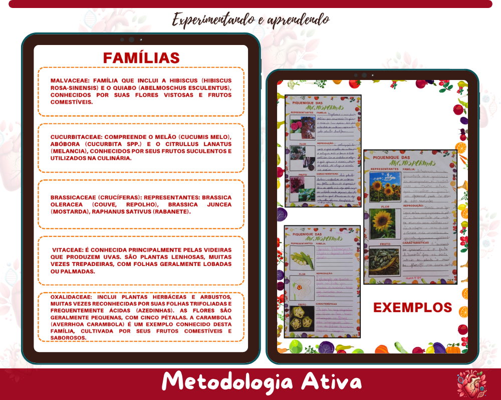 Roteiro de Aula Prática - Piquenique das Angiospermas