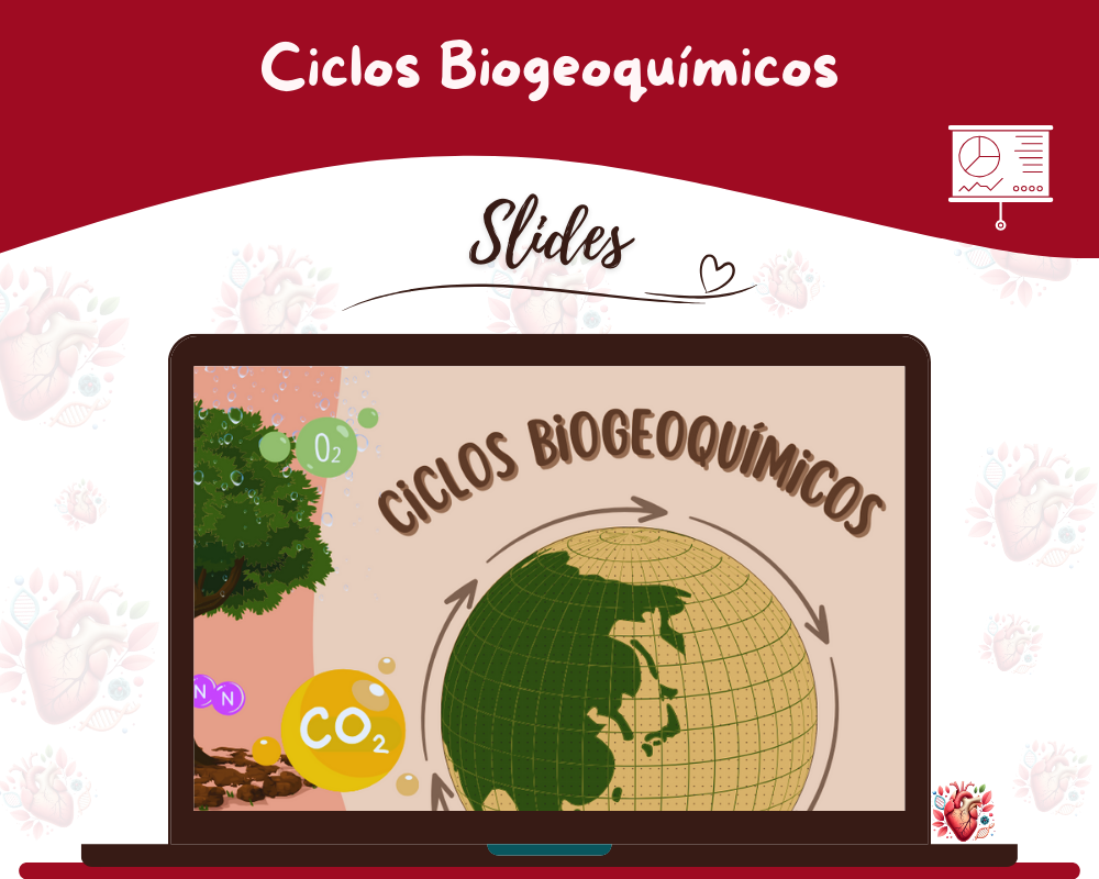 Slides - Ciclos Biogeoquímicos