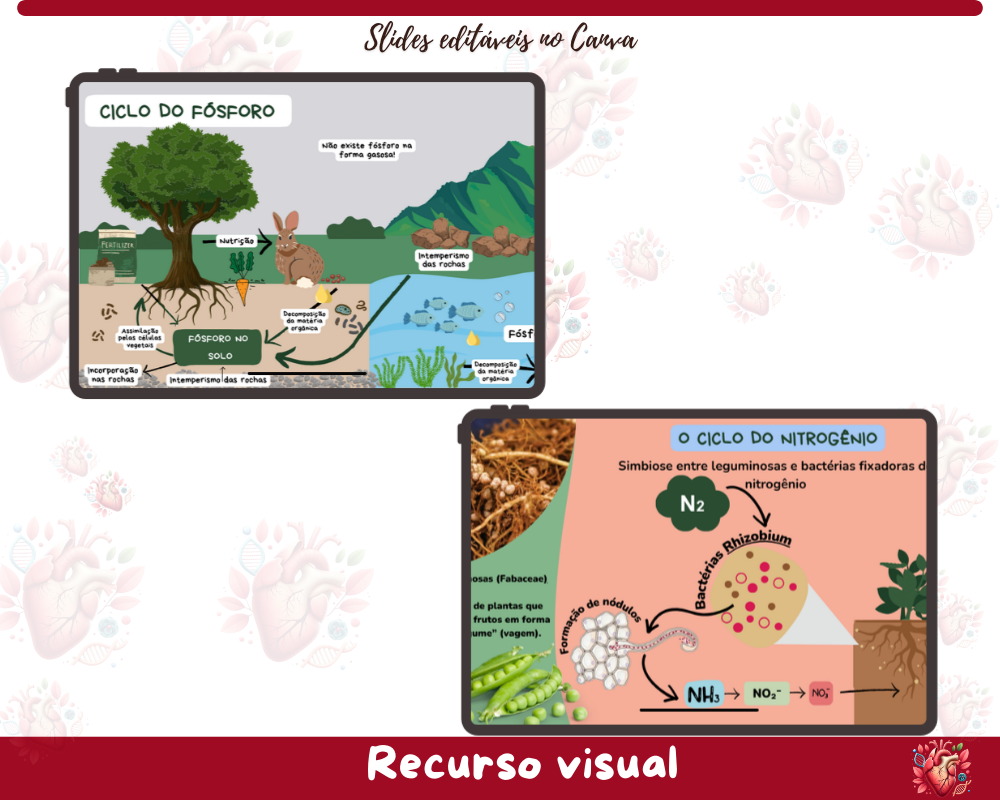 Slides - Ciclos Biogeoquímicos