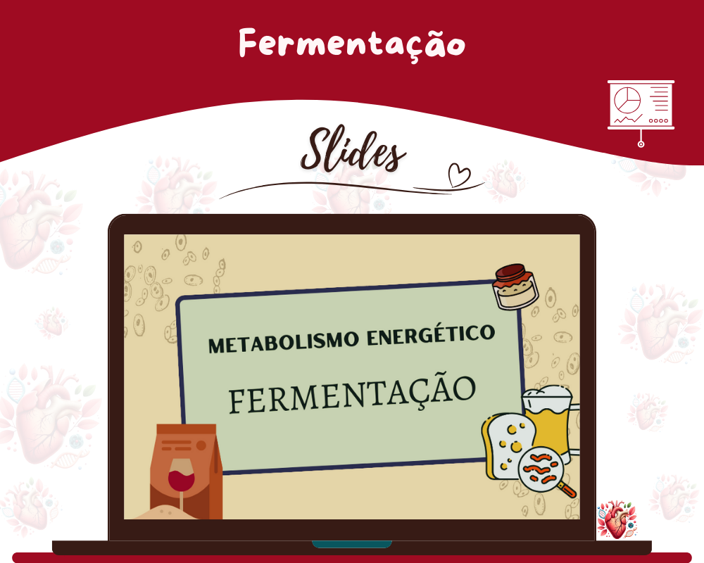 Slides - Fermentação