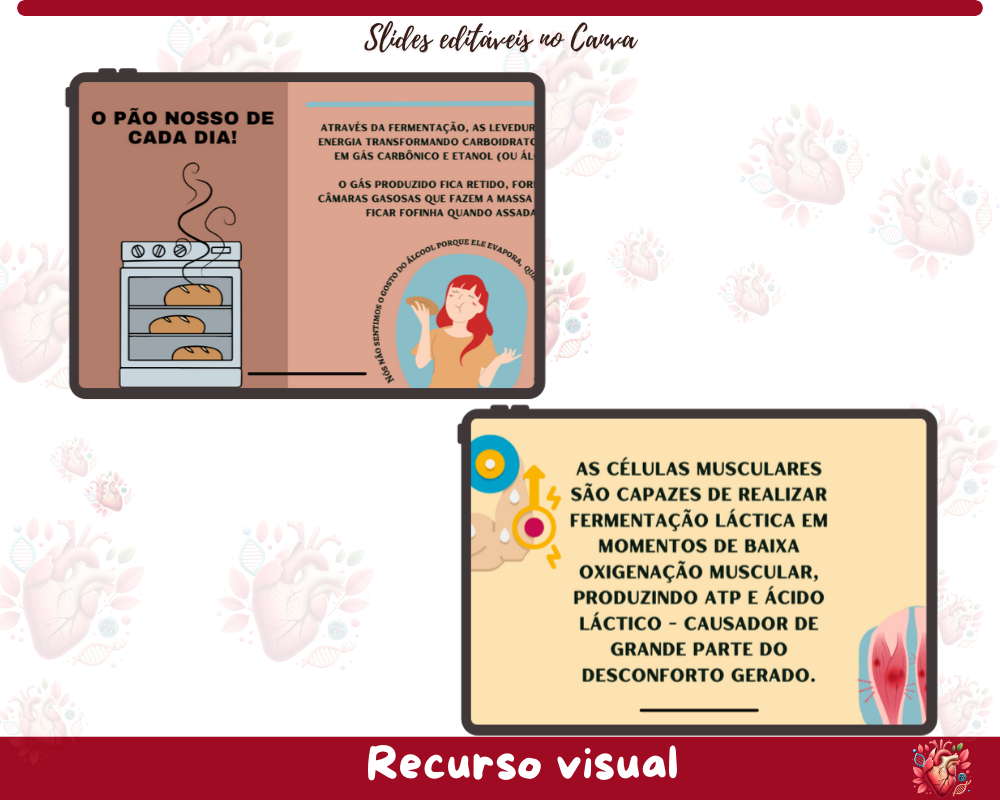 Slides - Fermentação