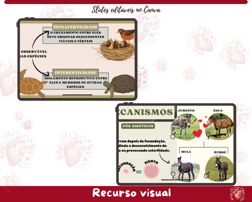Slides - Formação de Novas Espécies (Especiação) Slides - Formação de Novas Espécies (Especiação)