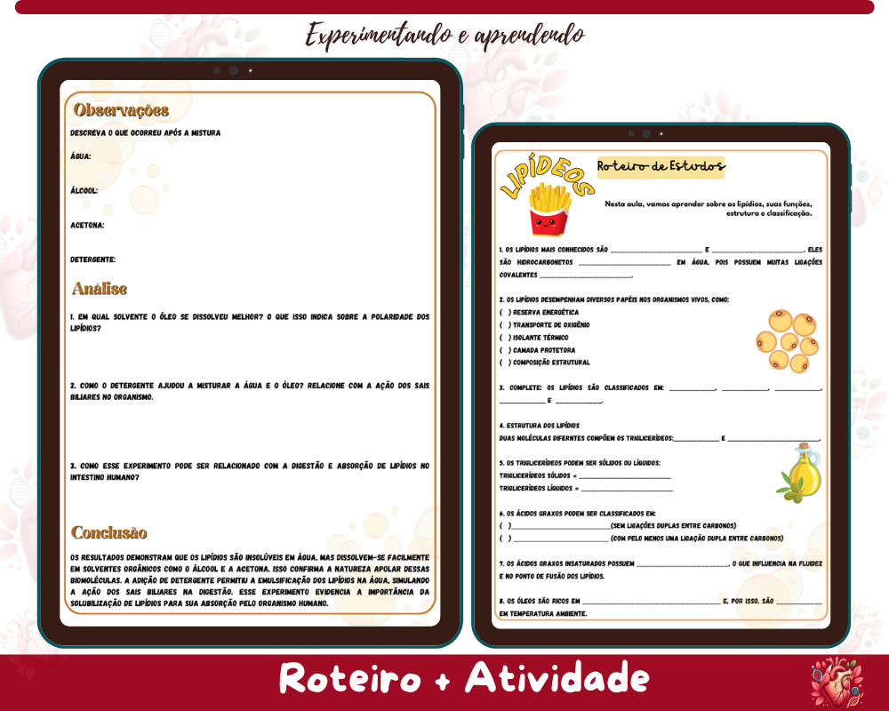 Roteiro de aula prática - SOLUBILIDADE DE LIPÍDEOS Roteiro de aula prática - SOLUBILIDADE DE LIPÍDEOS