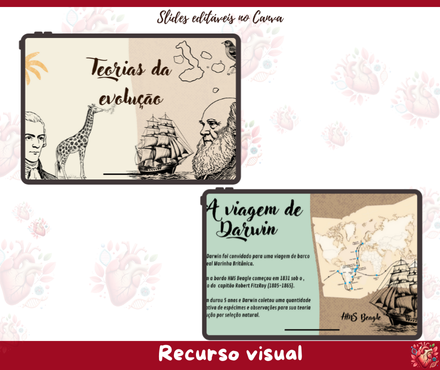 Slides - Evolução Biológica