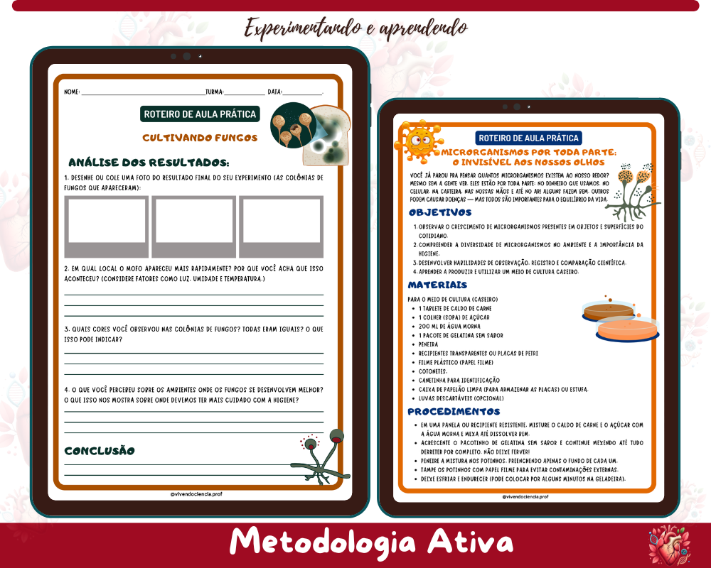  Explorando Microrganismos: Fermentação, Crescimento e Observação Científica