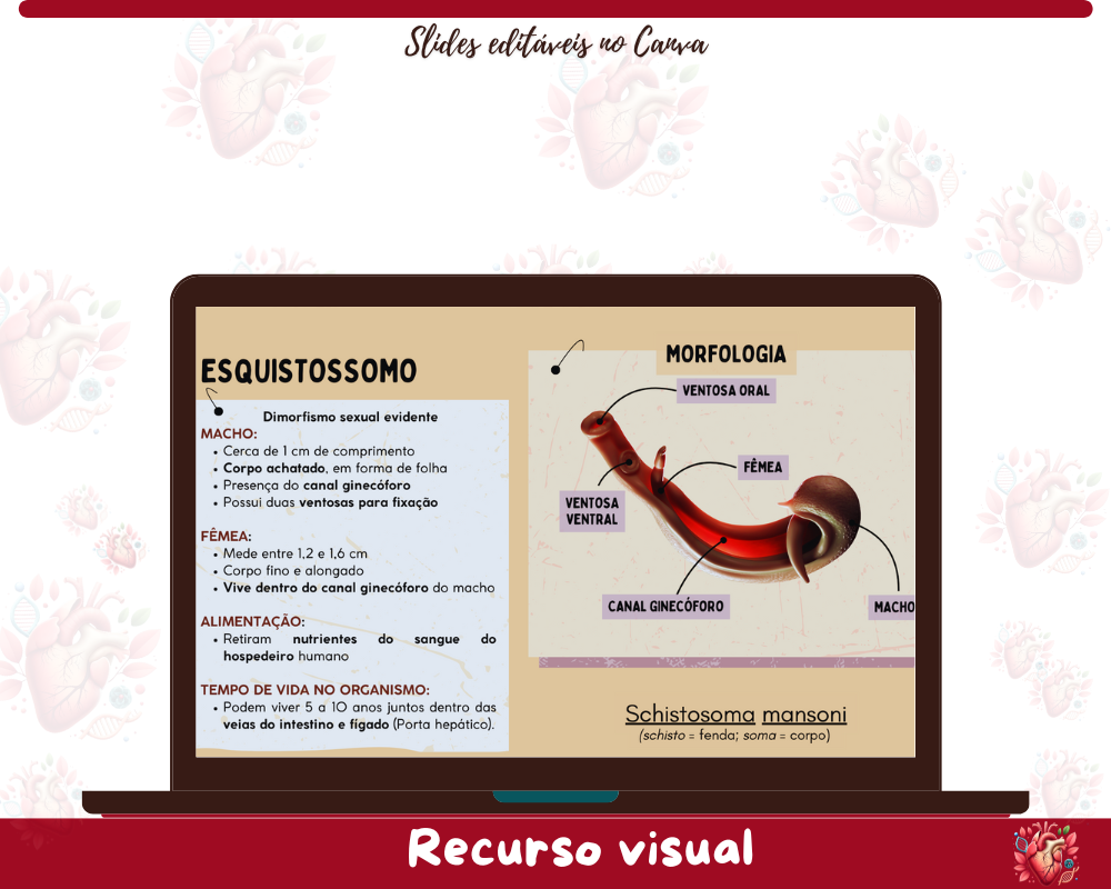 Slides - Verminoses Slides - Verminoses