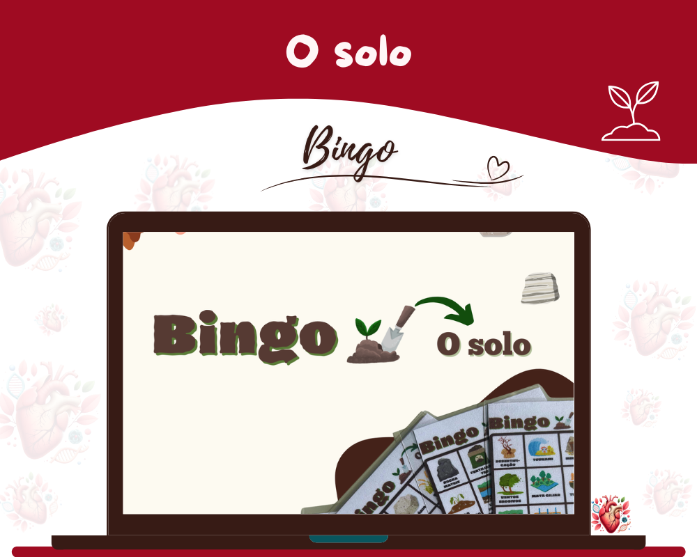Bingo - O Solo