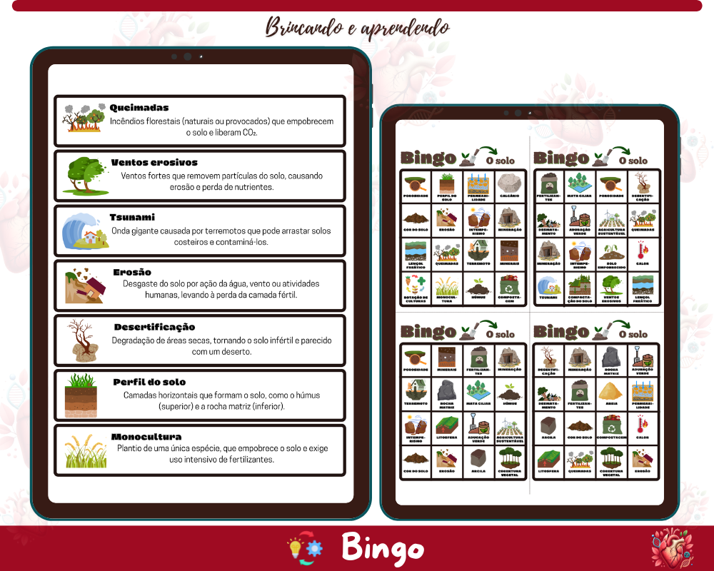 Bingo - O Solo Bingo - O Solo