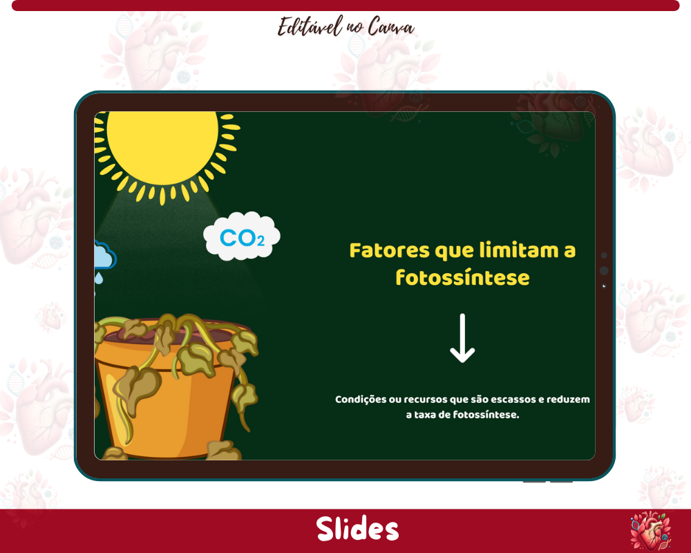 Slides - Fotossíntese Slides - Fotossíntese