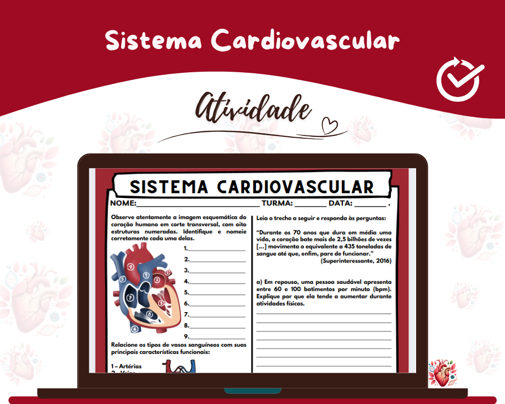 Avaliação - Sistema Cardiovascular Avaliação - Sistema Cardiovascular