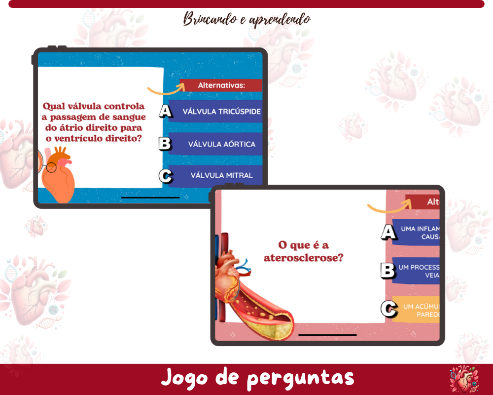 Quiz - Sistema Cardiovascular