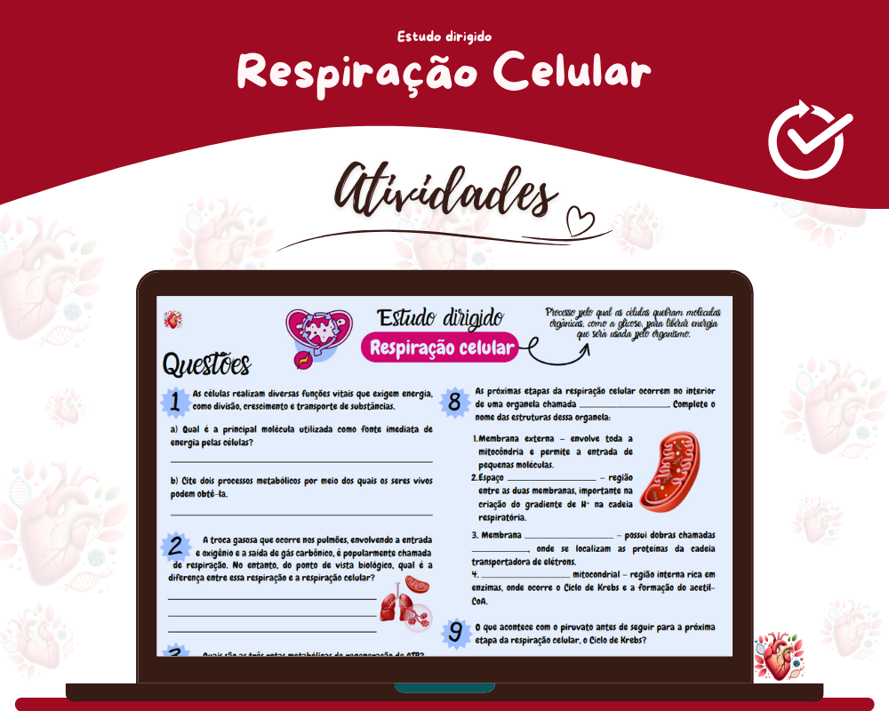 Estudo dirigido - Respiração Celular Estudo dirigido - Respiração Celular