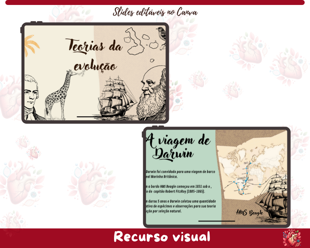 Slides - Evolução Biológica