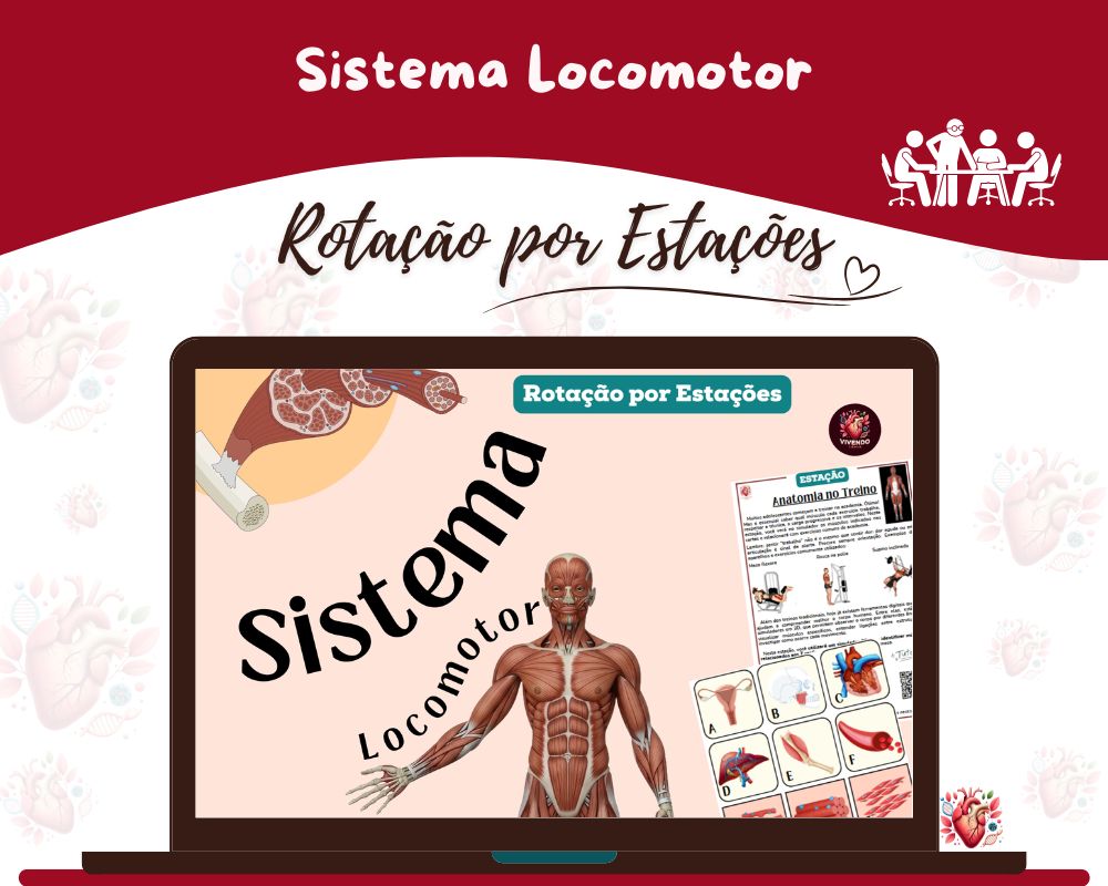 Rotação por Estações - Sistema Locomotor
