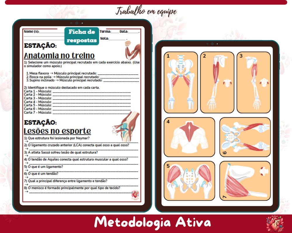 Rotação por Estações - Sistema Locomotor