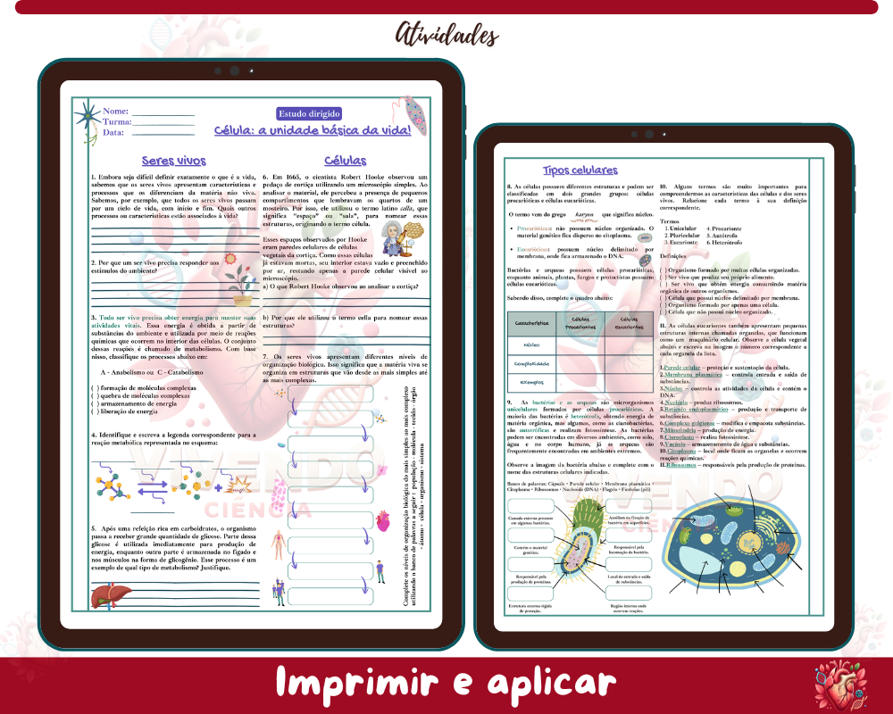 Atividades - Células