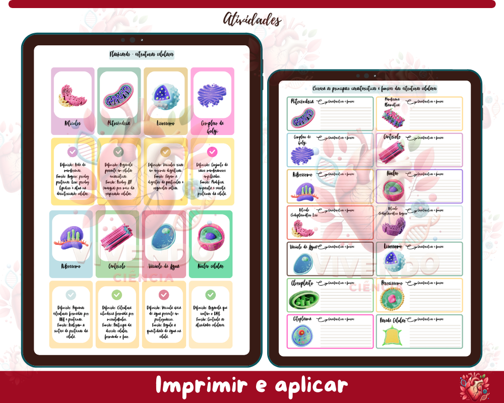 Atividade - Estruturas Celulares