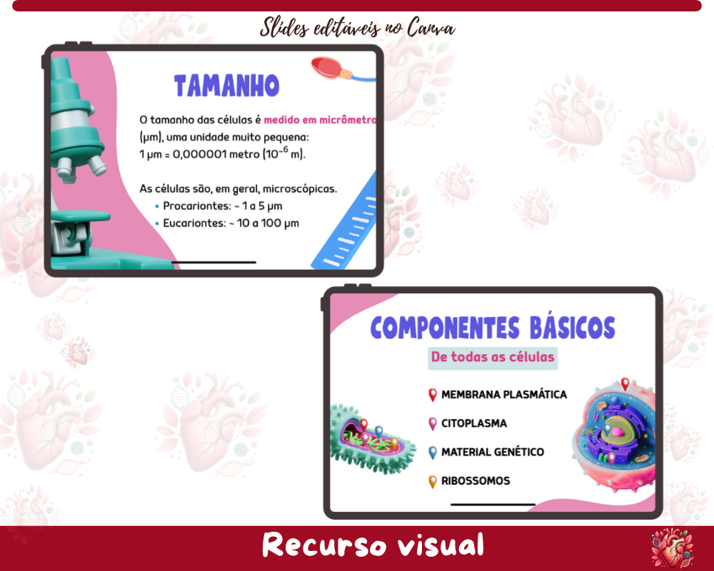 Slides - Organelas Celulares