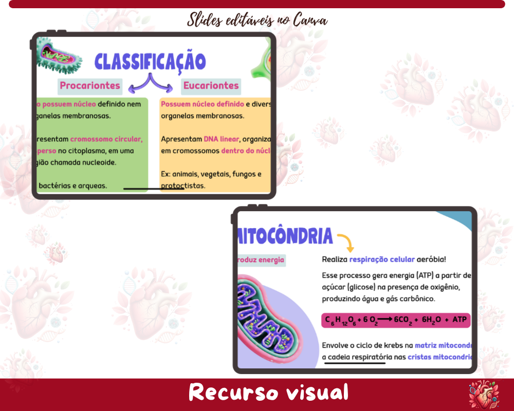 Slides - Organelas Celulares