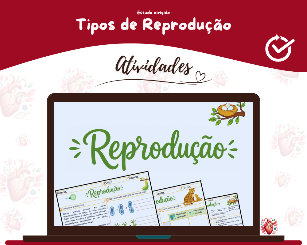 Atividades - Tipos de Reprodução