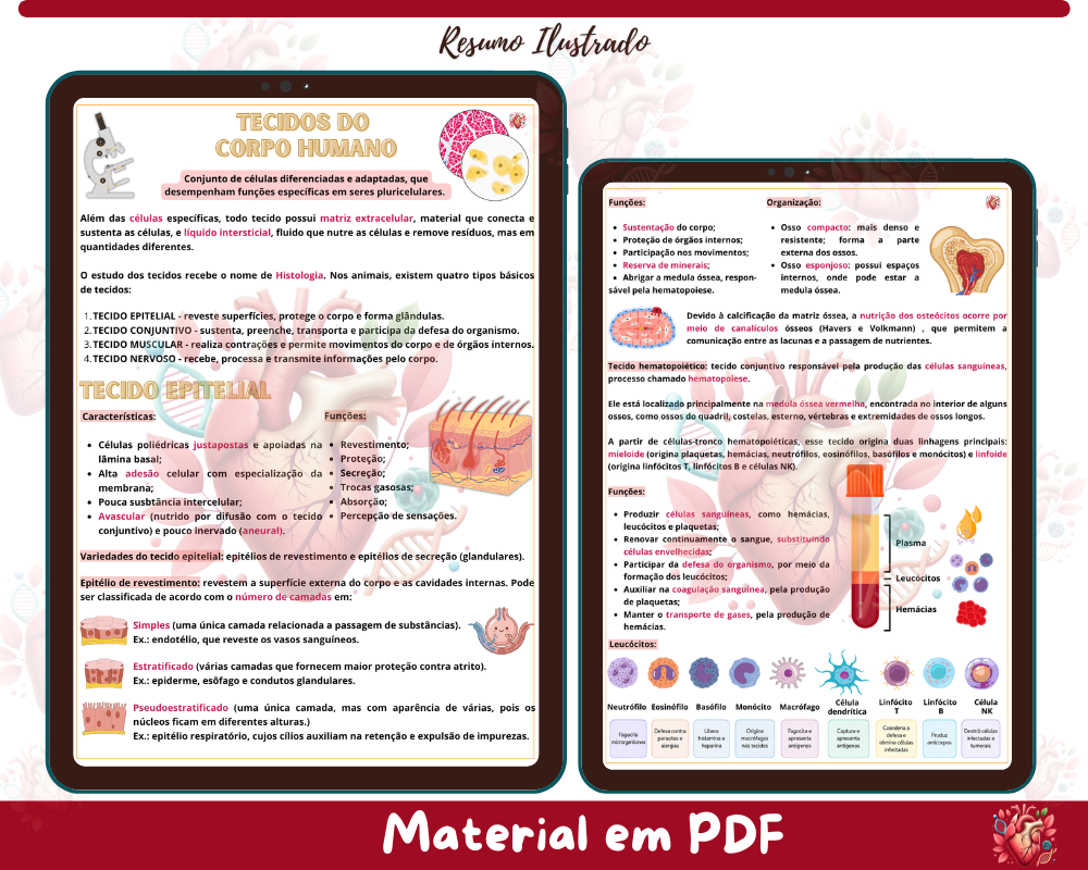 Resumo ilustrado - Tecidos do Corpo Humano