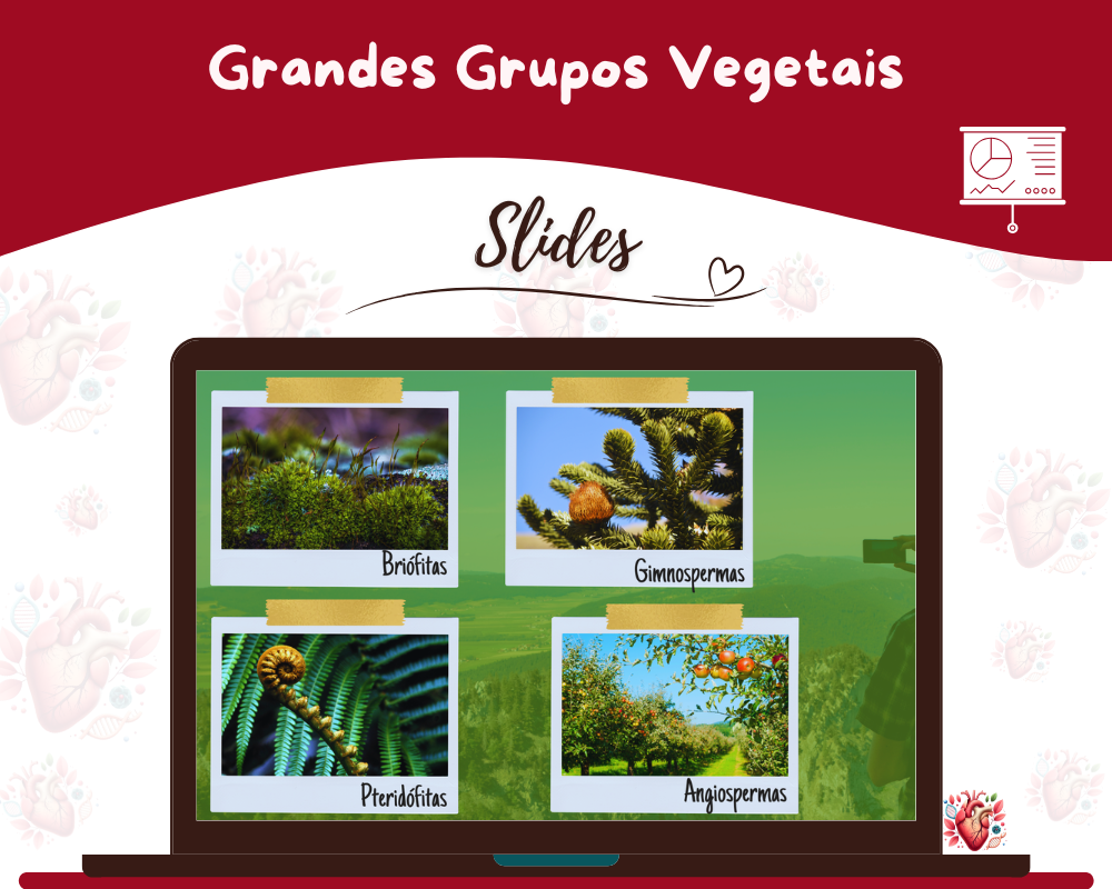 Slides - Grandes Grupos Vegetais